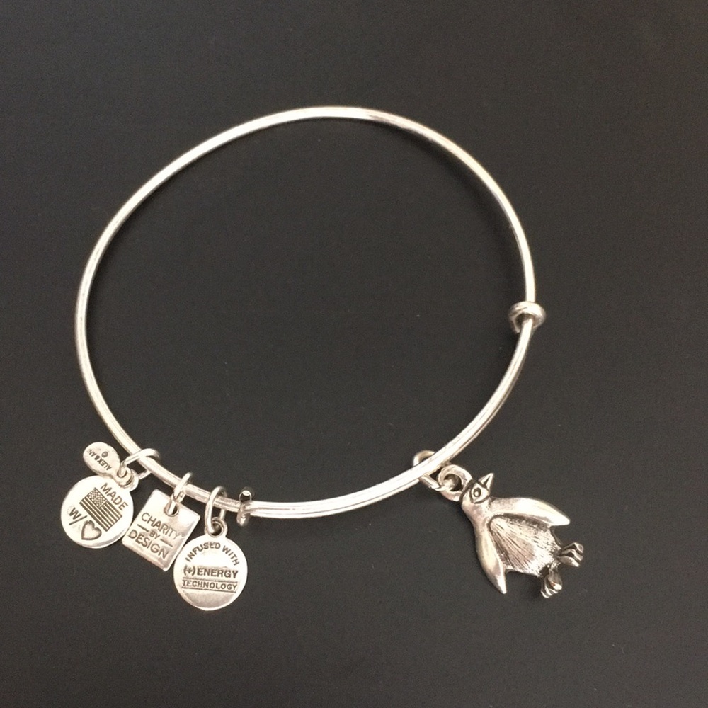 Alex and Ani Penguin Bracelet